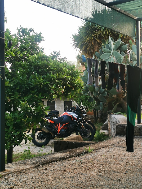 Wäsche trocknen auf der Motorradreise und das Motorrad steht neben einem riesigen Kaktus