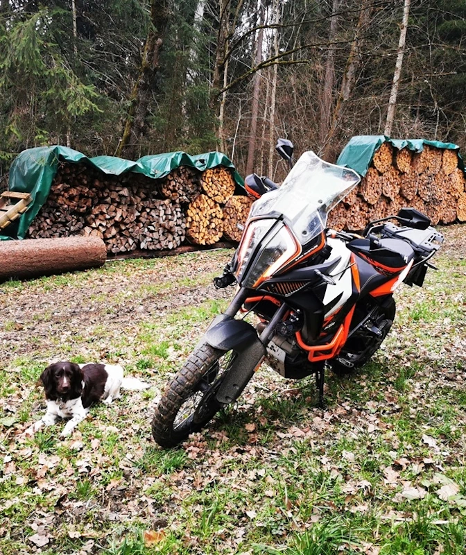 Maila Hund mit Motorrad